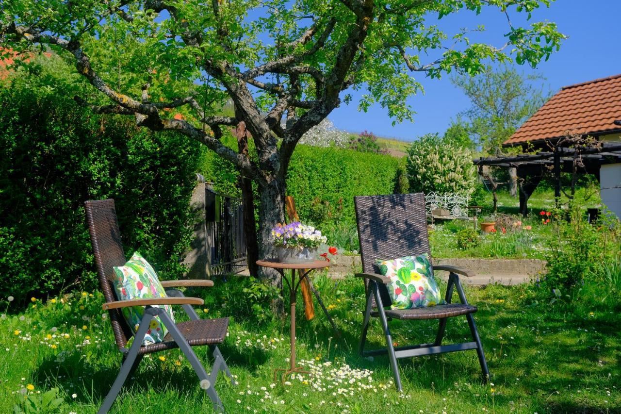 Ferienweingut Wissing Frieda Gleiszellen-Gleishorbach